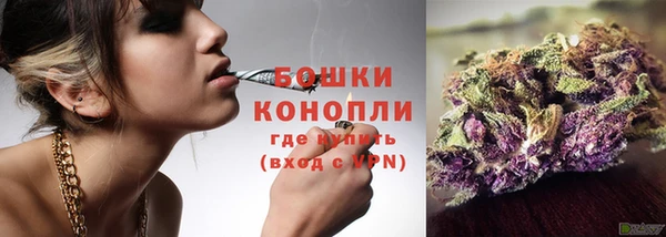 бошки Белокуриха