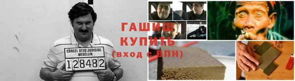 бошки Белокуриха