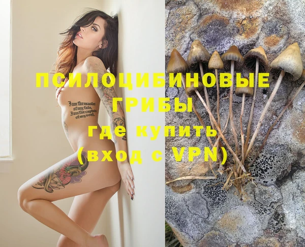 бошки Белокуриха
